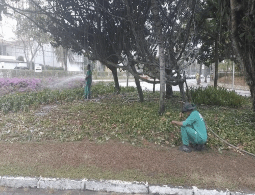 Paisagismo – Relatório Setembro 2025