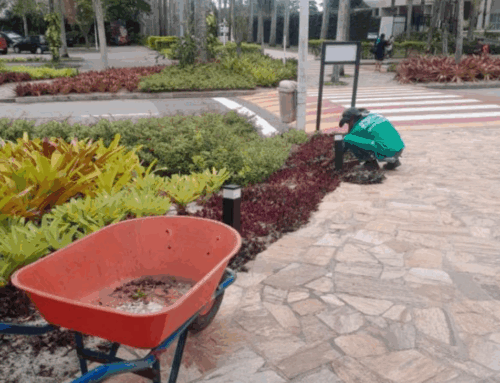 Paisagismo – Relatório Outubro 2025