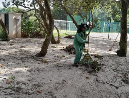 Paisagismo – Relatório Novembro 2025