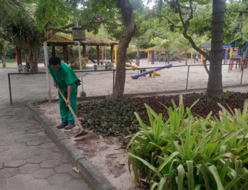 Paisagismo – Relatório Dezembro 2025