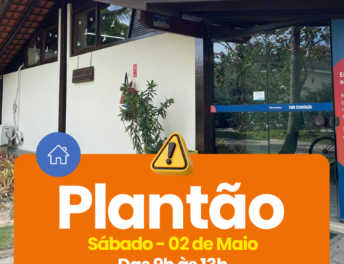 Plantão