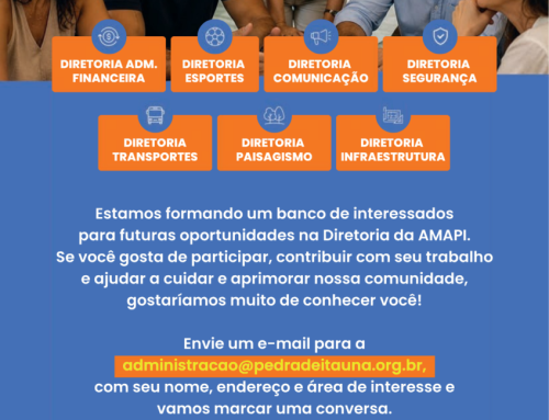 Oportunidades na Diretoria da AMAPI