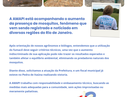 Estamos acompanhando o aumento da presença de mosquitos
